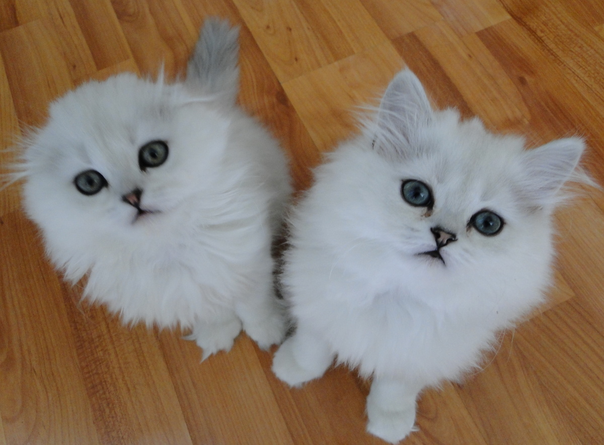 ФОТО ИЗ ЛИЧНОГО АРХИВА