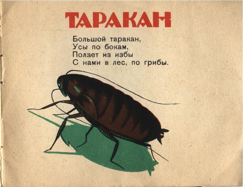 Большой таракан,
Усы по бокам,
Ползет из избы
С нами в лес, по грибы.
♦
Годин Я. В. Книжка-кубышка [Стихи для детей] / Яков Годин; Рис. Пашкевич. — [Ленинград] : Радуга, [1930]. — [11] с. цв. ил.; 11×14 см.

Иллюстрация на сайте ОРПК (https://orpk.org/illustrations/9336)
♦ https://www.facebook.com/ObRPK/posts/pfbid02qonJQYvuujssoKtcbbR69UrdWkkV2HbUdXDYKKgDK1hxgkdkcnBkscARBtuqzumel