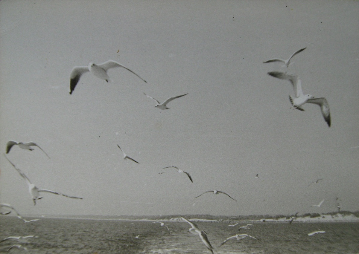 Чёрное море