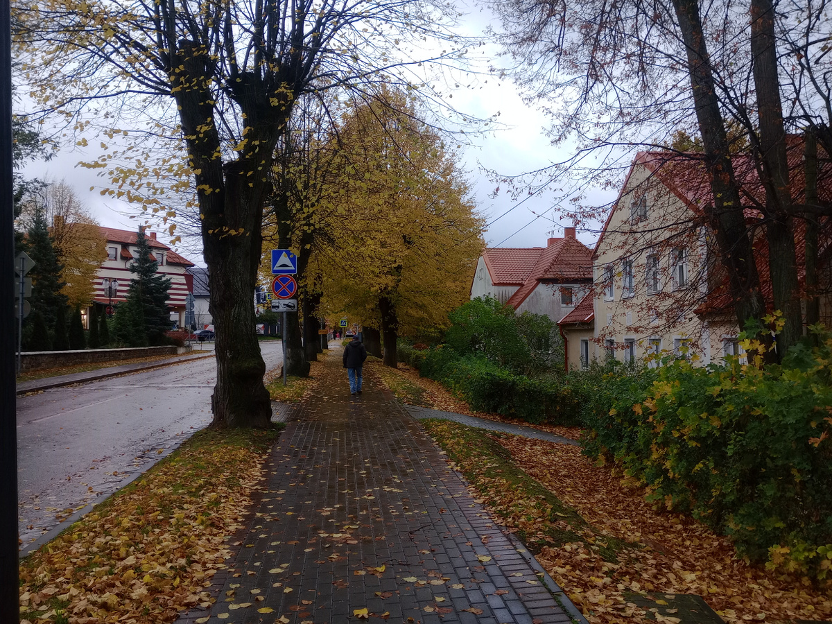 п Янтарный осенью 