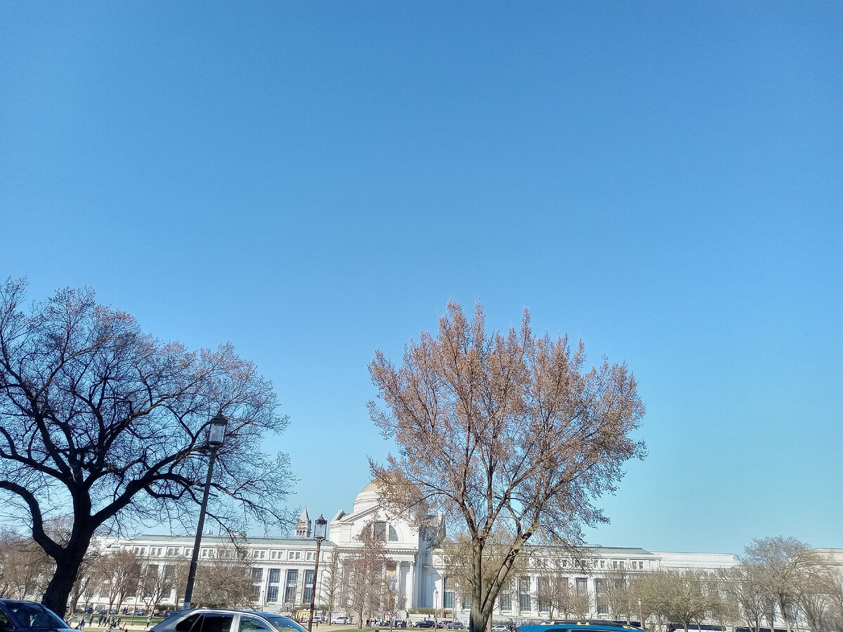 Смитсонианский Национальный Музей Природоведения, город Вашингтон, США  Весна 2023 Фото автора статьи The ЖурнальчиК. 