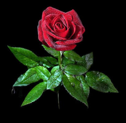 
꧁༺ 𝓵𝓲𝓪𝓷𝓪 𝓓𝓮𝓵𝔂𝓪𝓷 ༻꧂

 
 