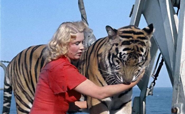 известные тигры