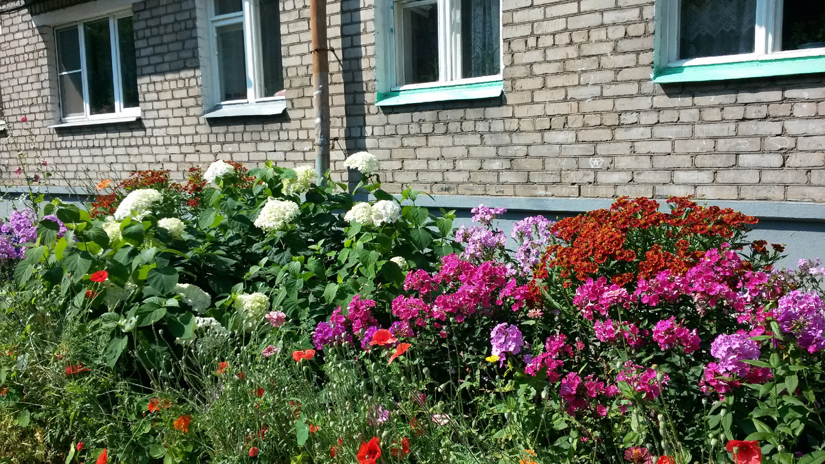 угадай стиль...