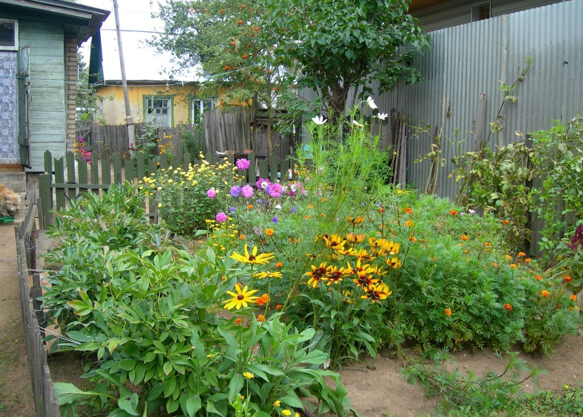 знакомый дизайн...