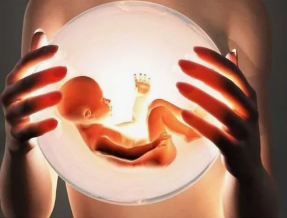 яндекс.картинки