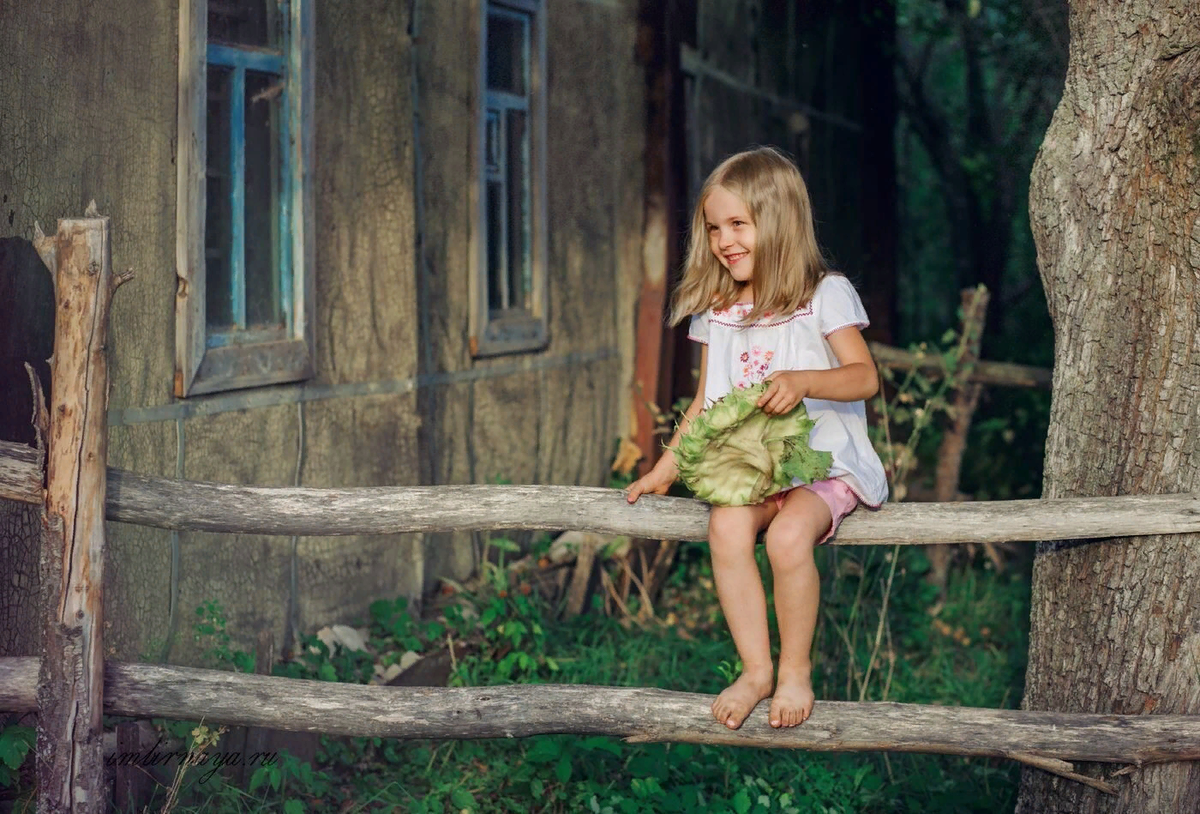 Фото Яндекс.