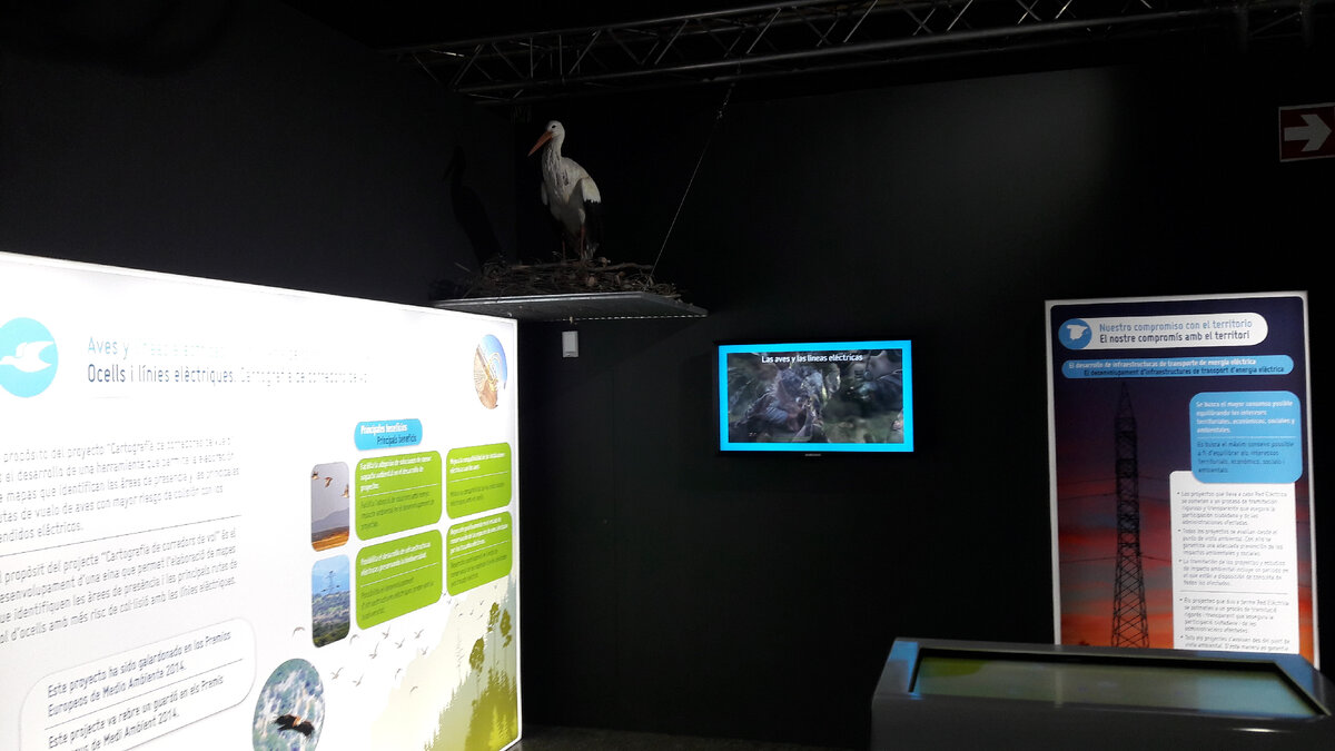 Сравнение российских и американских городов. Сходство индивидуальных и нормативных. Сравнить два города. Сравнение городов россии и сша. Сравнить два города.