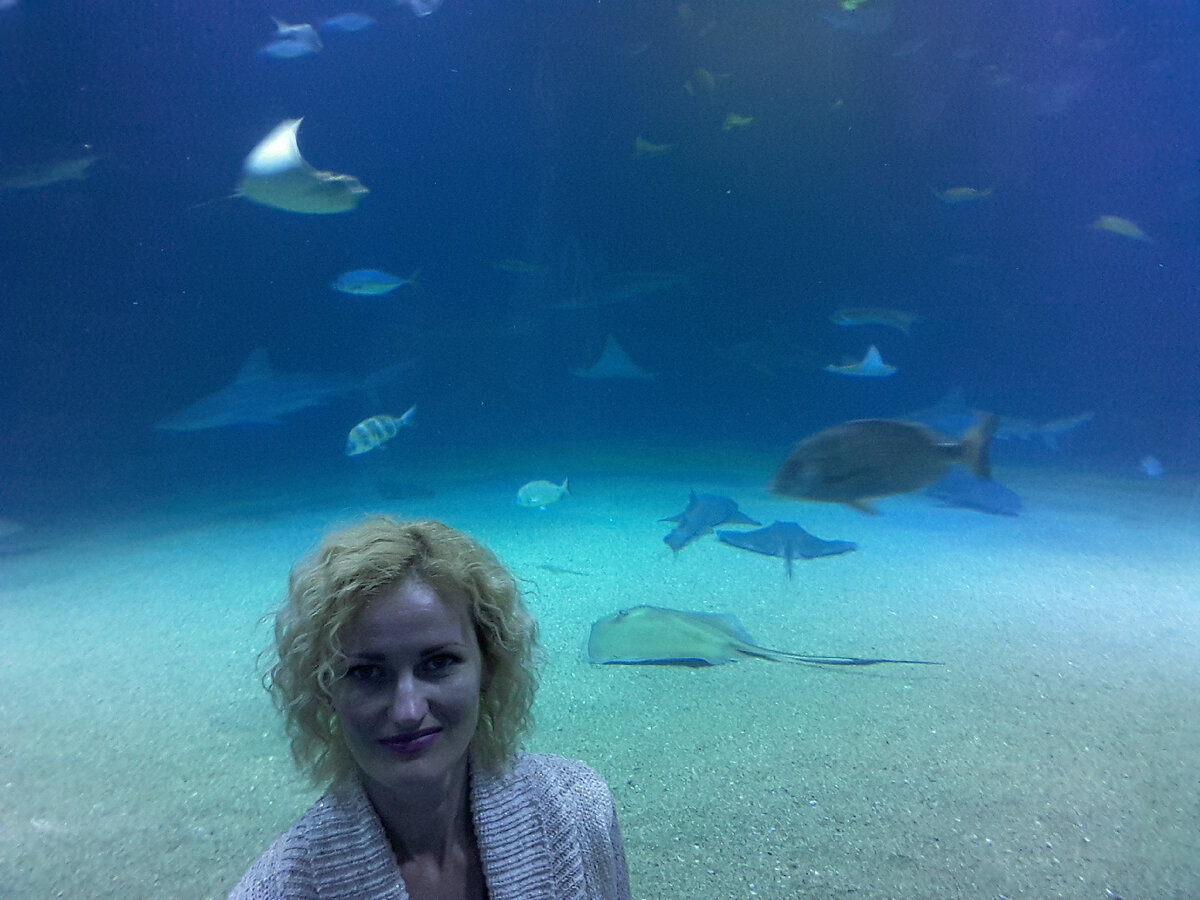 Что характерно для науки. Леонардо да винчи. Да винчи суждения о науке и искусстве. Суждения о науке и искусстве. Да винчи суждения о науке и искусстве.