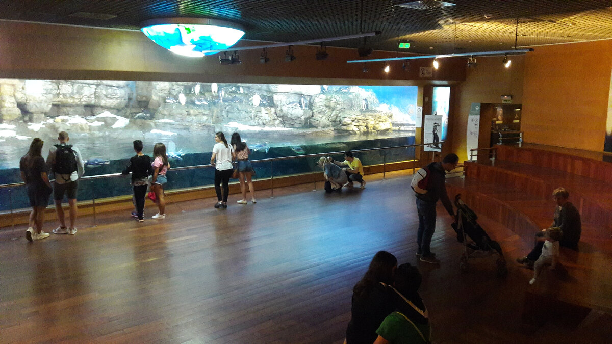 Видна ли личность автора в искусстве возрождения. Сравнить искусство и фото. Мастерство сравнения. Античное и средневековое искусство. Учебник право 10-11 класс певцова.