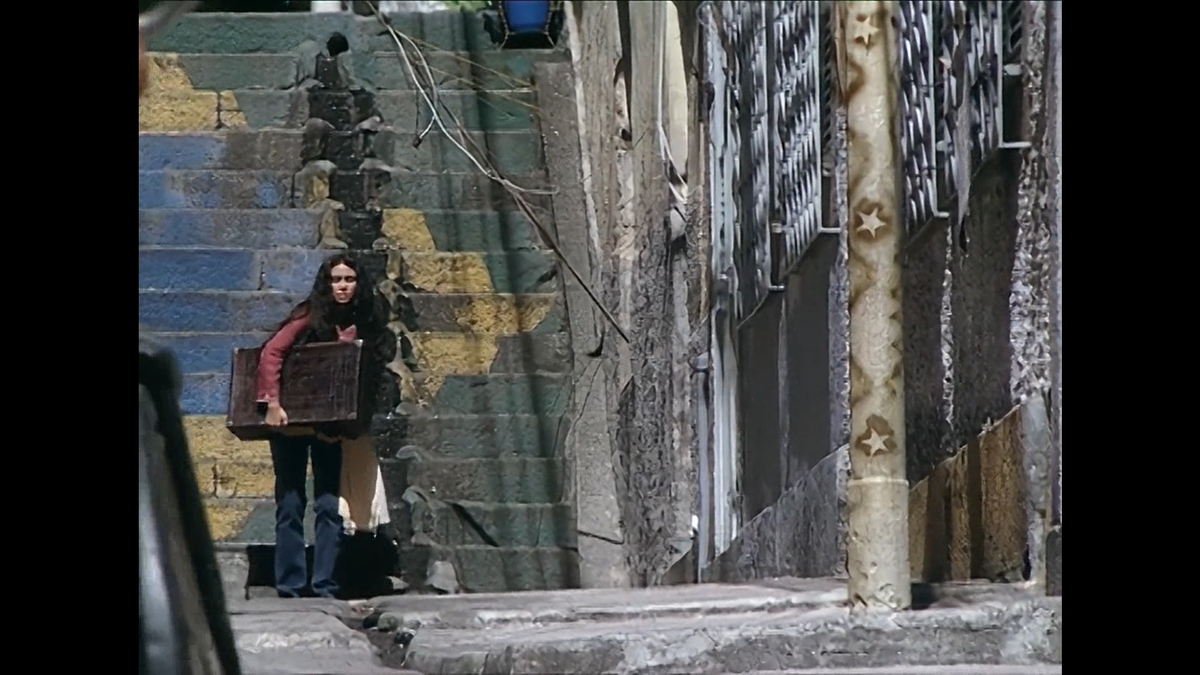 Жади идет с чемоданом