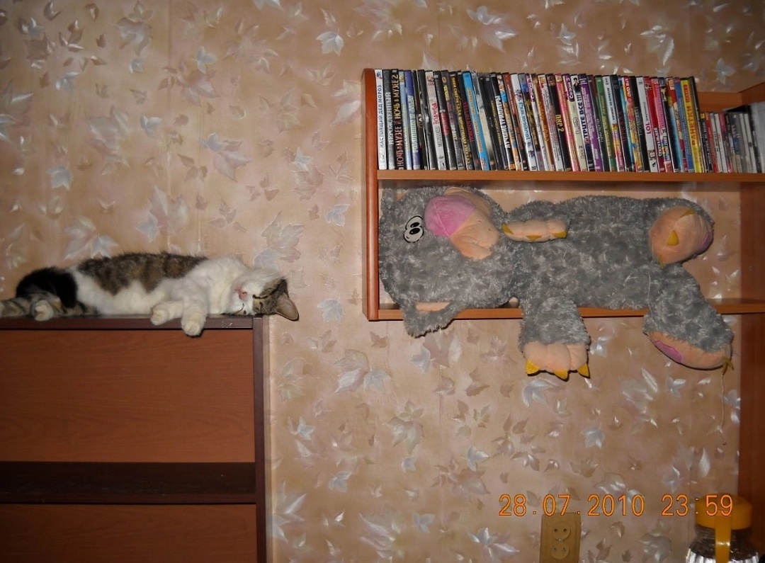 Снежок. Фото дочери 