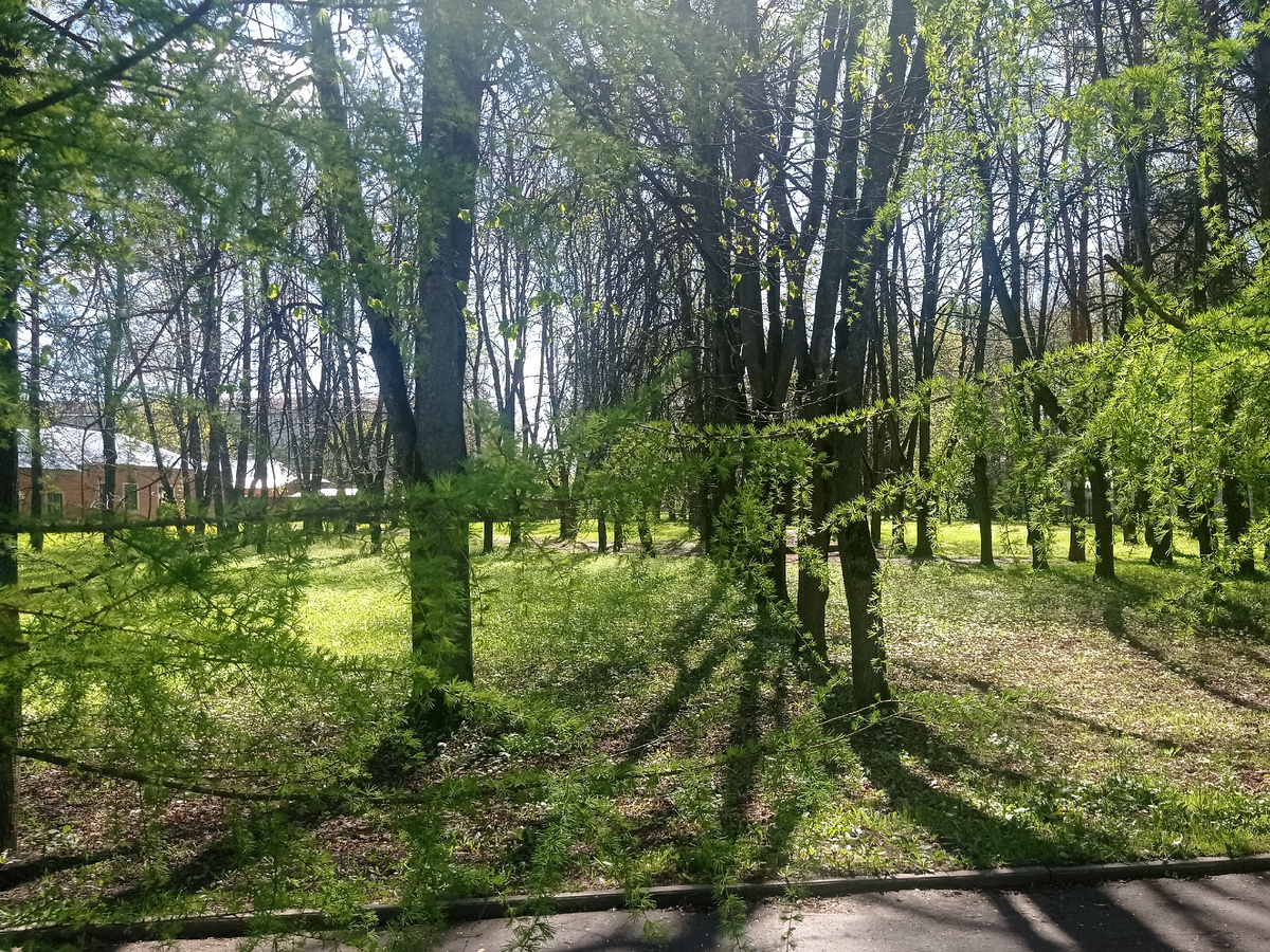 По дорожкам усадьбы