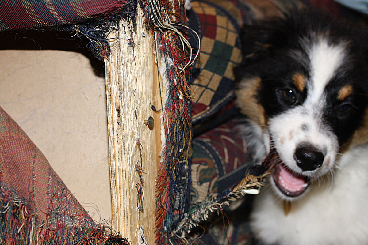 Фотография: Flickr, @carterse, CC BY-SA 2.0