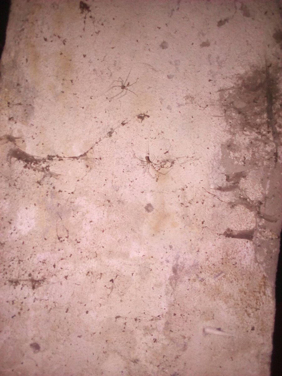 Вы же это видите?😱😱😱😱