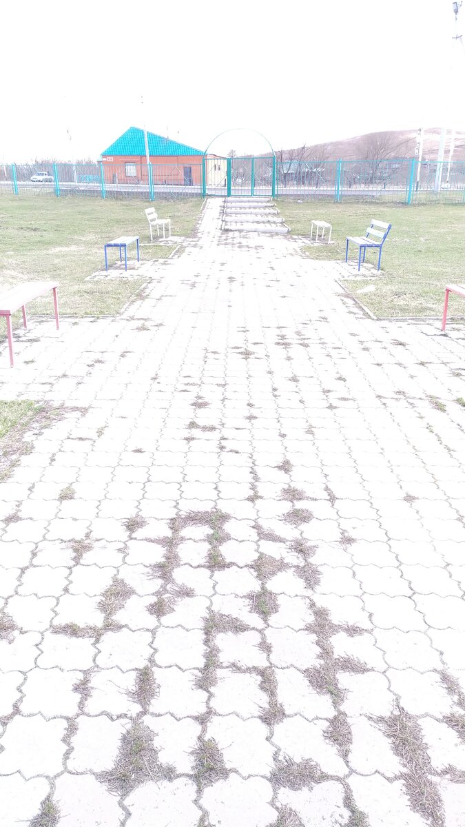 Фото автора.