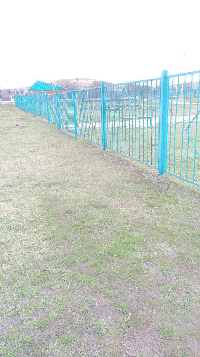 Фото автора.