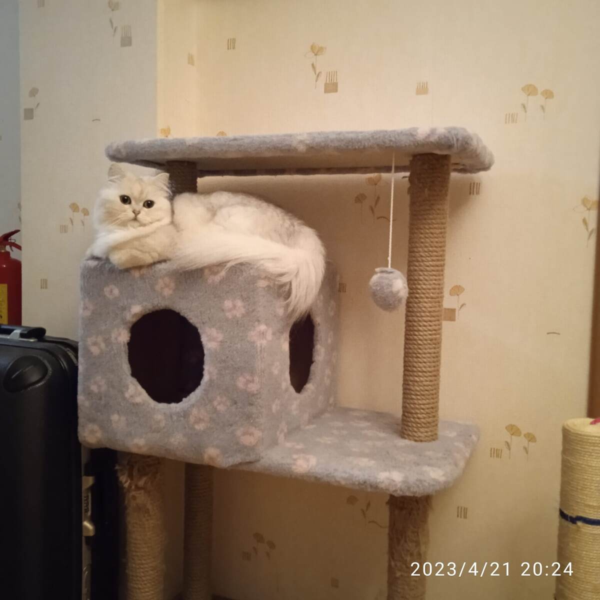 ФОТО ИЗ ЛИЧНОГО АРХИВА