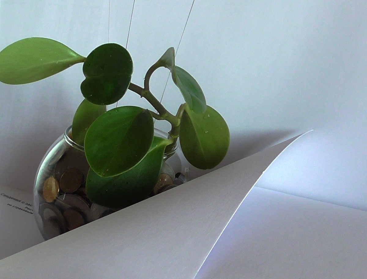 Фото автора.