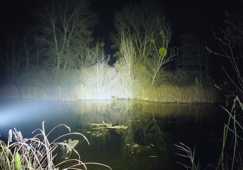 Яндекс Картинки 