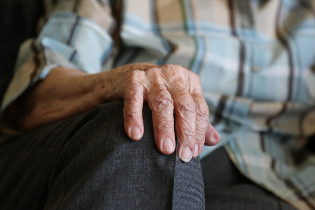 Фото: pixabay.com