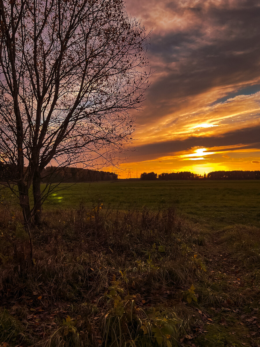 Закат на исходе осени особенно дорог 