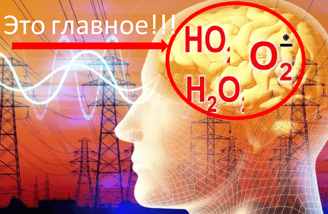 Основные жизненные процессы в организмах обеспечиваются за счет потребления кислорода. В биохимических реакциях кислород участвует в активных формах (АФК).