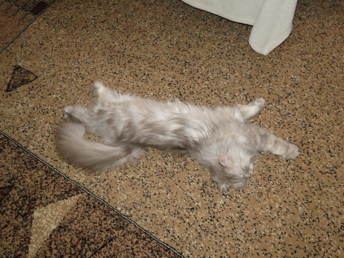 Фото из личного архива