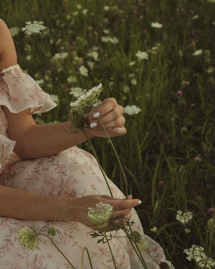 Фото из свободных источников 