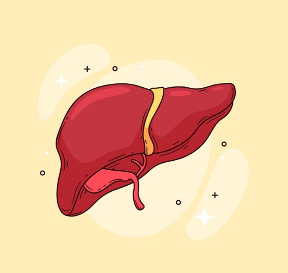 © photo credit by ru.freepik.com