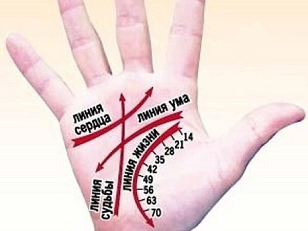 Главные линии ладони. m.fotostrana.ru