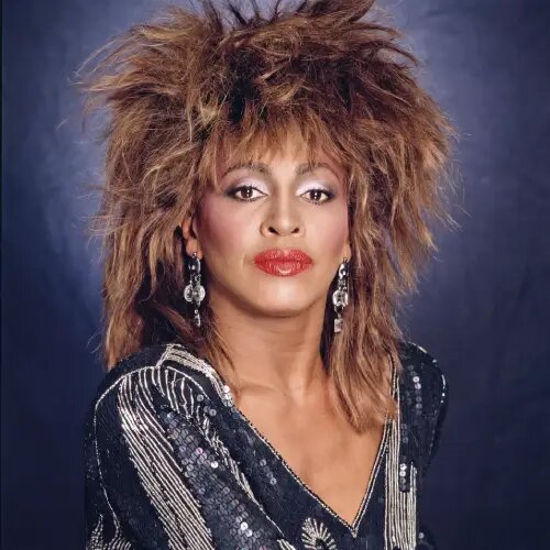    Фото: Tina Turner / standard.co.uk