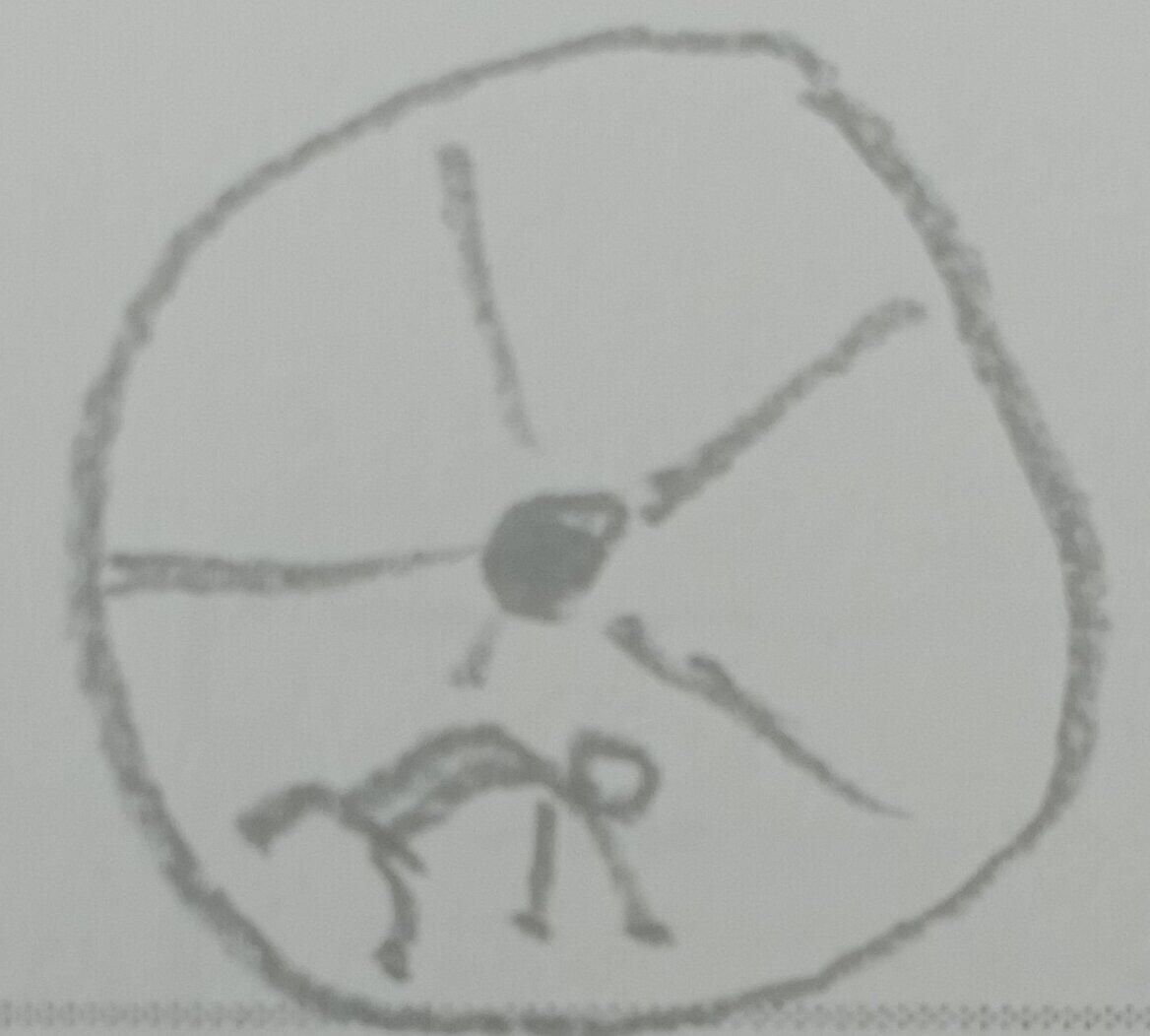 Рисунок автора.