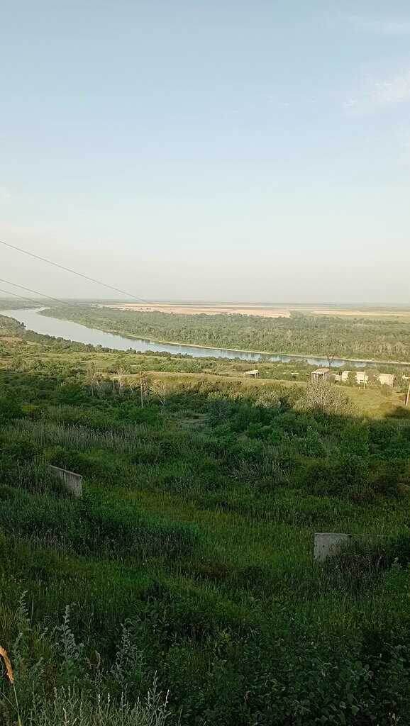 Фото из открытых источников. 