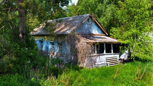 ЗАБРОШЕННАЯ ДЕРЕВНЯ В ЛЕСУ. В ШОКЕ ОТ УВИДЕННОГО! Пензенская область.