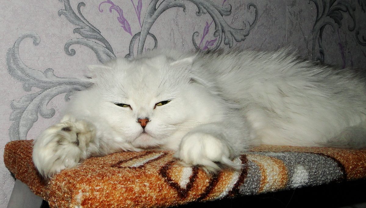 Фото из личного архива