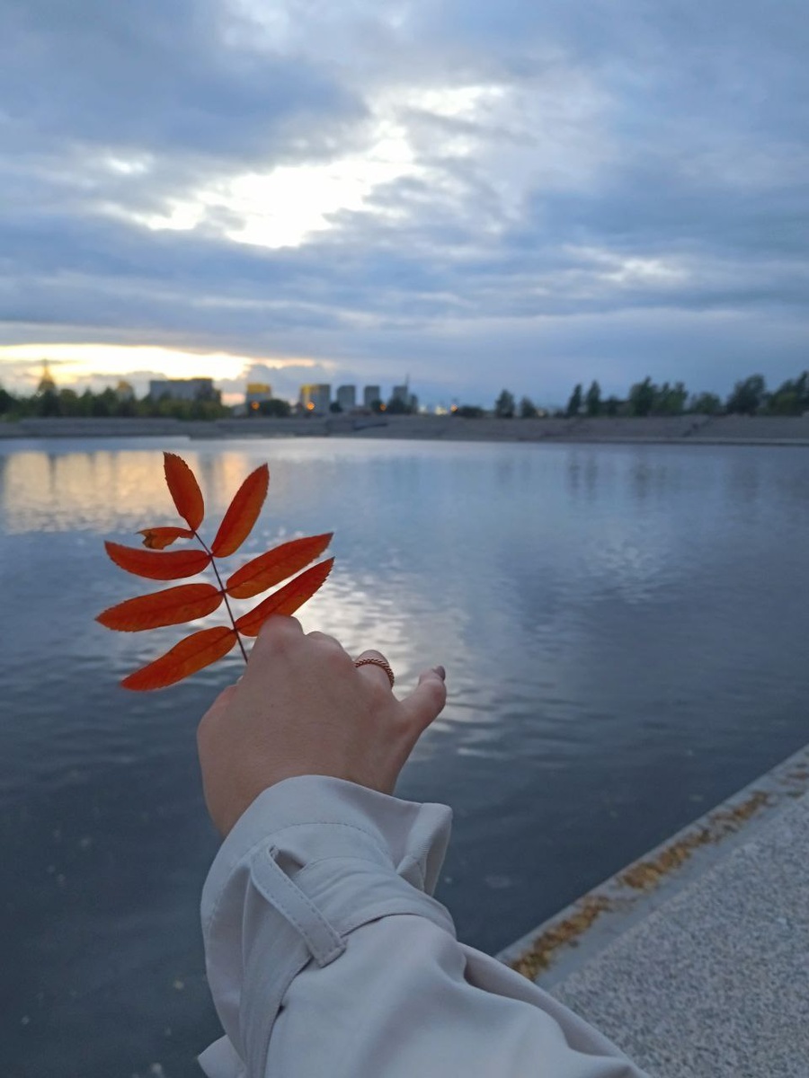 Успокаивающая картинка