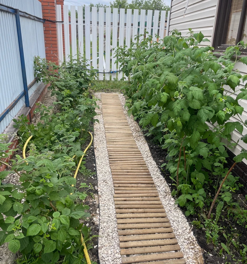 Фото из отзывов