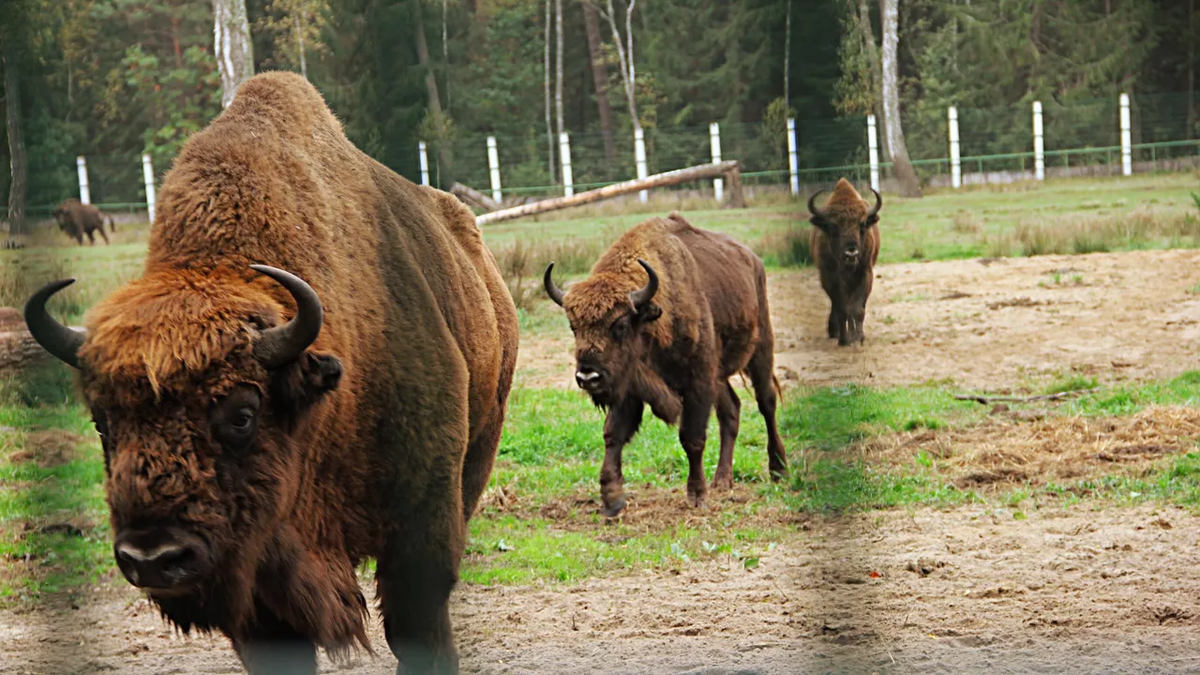 Фото: © РИА Новости / Карина Ивашко 