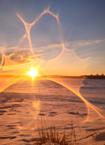 Автор  фотографии -  Юлия Гинтер.  Источник изображения  :  yuliyaginter