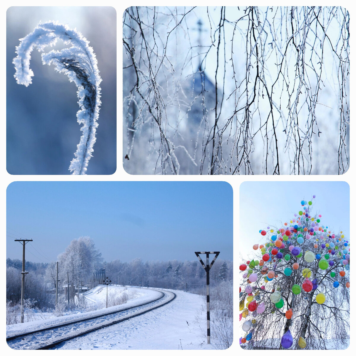 Фото моё из архивов. Зиме идут яркие цвета 😍