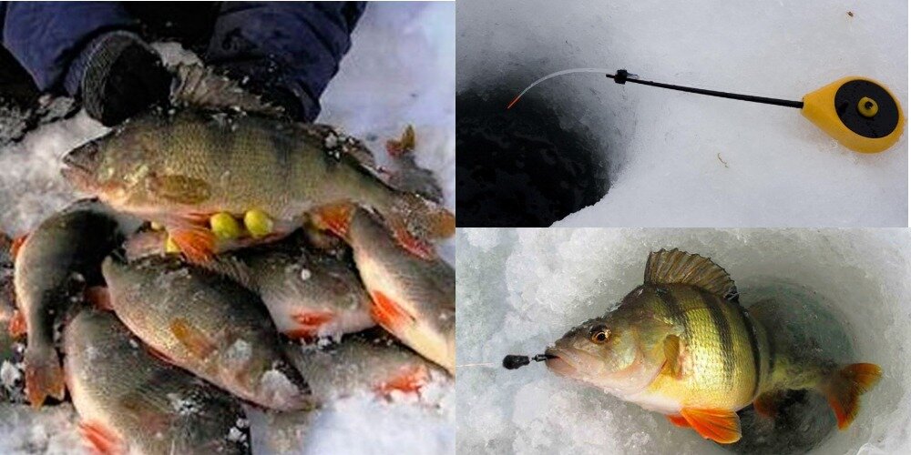 Зимняя рыбалка. Способы зимней ловли. Зимняя ловля на мормышку