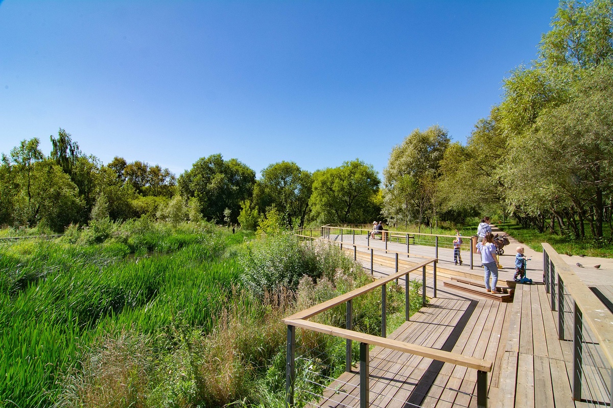 Источник: wikipedia.org Автор: Muscovite20 CC BY-SA 4.0