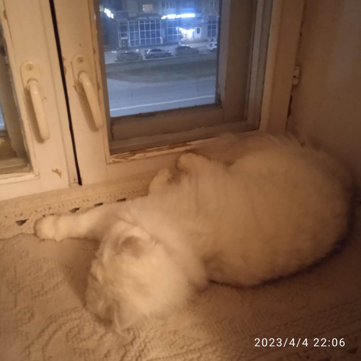 -2