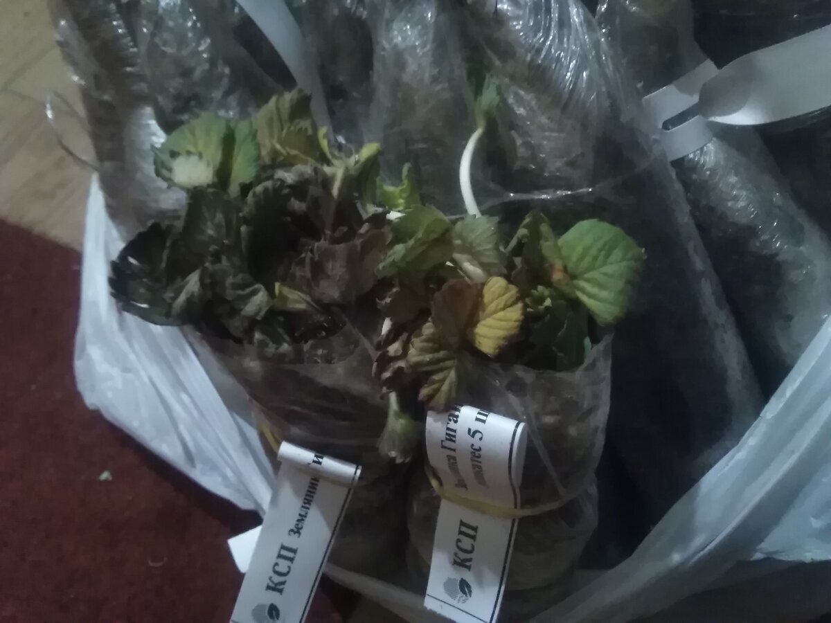 фото Людмилы