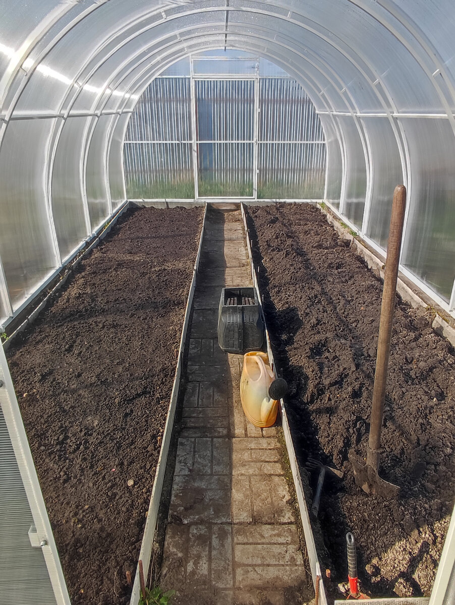 Фото автора, работа в теплице, апрель 2022 года