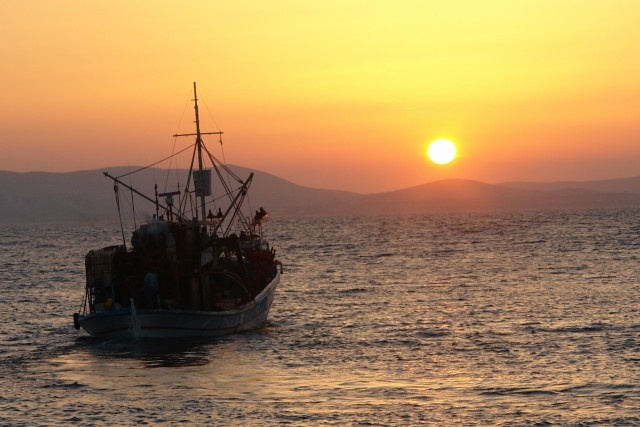 Фото: perfectstock.ru