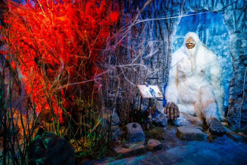   музей «Бестиарий»