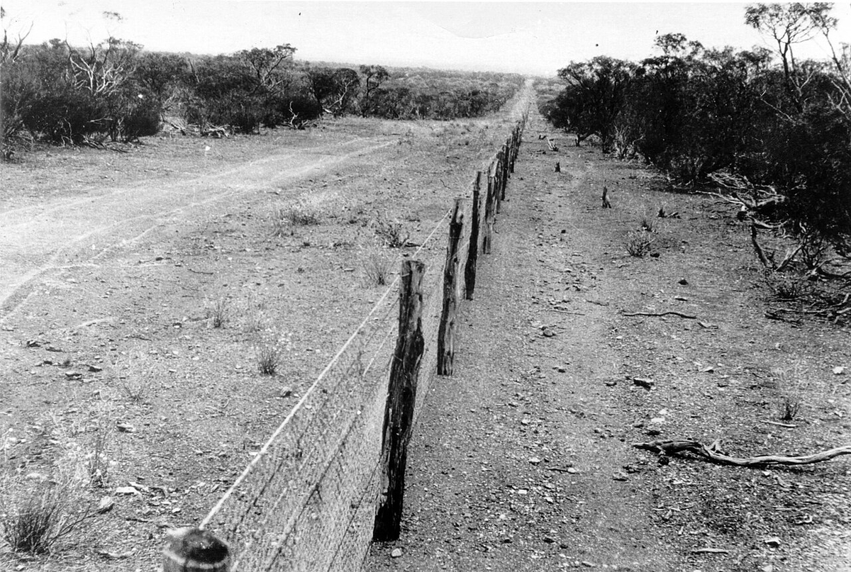 This file is from the collection of the State Library of Western Australia. View its catalogue entry: b1961586_8