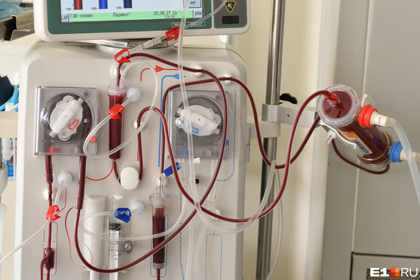 фото: Артем Устюжанин / E1.RU